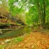 Warrior River in early autumn.
Blount County, AL.