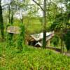 Horton's Mill Covered Bridge.
Near Hendrix, AL.