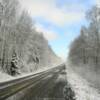 Murphy Dome Road.
(early October)