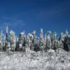 Some wintery scenes in October north of Fairbanks.