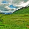 Canyon Creek Valley.
(looking toward the 
Southern Kenai's)