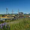 Old marooned boats.
Homer Spit.