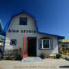 Blue Urchin Souvener Shop
Homer, AK.