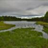 Dolly Varden Lake.
From the 
Swanson River Road.