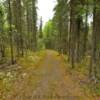 Canoe Lake Trail.