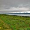 Old East End Road.
Kachemak Bay.