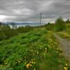 Beautiful southern Alaska.
(looking west)
East End Road.