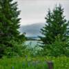 Berner's Bay.
Along Glacier Highway 7.
35 miles north of Juneau, AK.