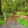 Kazaan, Alaska trailhead.