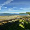 Northern Pennock Bay.
Clover Pass Cove.
18 miles north of
Ketchikan, AK.