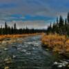 Brushkana Creek.
Along the Denali Highway.