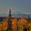 Mount McKinley.
(south viewpoint)