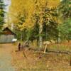 Early 1900's Alaskan homestead.
Near Soldotna, AK.