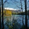 Southern Kenai Pond.
Late Autumn.