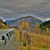 Seward Highway.
(looking north)
October overcast day.