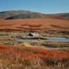 Another marooned gold dredge.
Near (Mile 41) along the
Nome-Council Road.