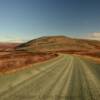 Nome-Council Road.
Mile 60.
(looking east)