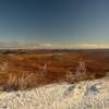 Tundra Pass.
Mile 52.
Nome-Council Road.