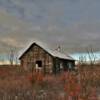 (Same) trappers cabin.
(east angle)
Mile 75.  
Kougarok Road.