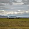 More migrating caribou.
Along the
Woolley Lagoon Road.