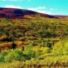 Autumn Colors-along Alaska's Hatcher Pass Road