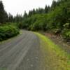 Another view of
Jackolof Bay Road.
Near Seldovia.