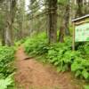 Start of Seldovia's
Otterbahn Trail.