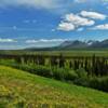 Eastern Chugach Foothills
& Tahneta Valley.
