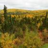 Mid-autumn foliage.
Along the southern
Dalton Highway.