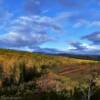 Early autumn foliage.
Near Livengood, AK.