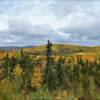 Beautiful September foliage.
Southern Dalton Highway.