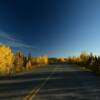 Autumn foliage along the
Dalton Highway.
Late September evening.