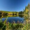 Beautiful local pond.
Mile 42.
Chena Hot Springs Road.