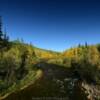 Chena River.
Along the Chena Road.