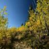 More beautiful fall foliage.
Mile 45.
Chena Hot Springs Road.