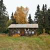 Nabesna, Alaska.
Backwoodsman's home.