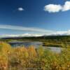 Another view of the
Copper River.
Near Gulkana.