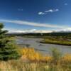 Copper River and a
beautiful spruce pine.
(looking east)