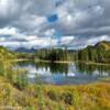 Reflective Lake.
Mile 66.
Tok Cut-Off Road.