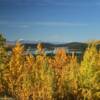 Midway Lake 
Behind the beautiful foliage.
Near Northway, Alaska.