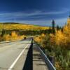 Alcan Highway
Beautiful foliage at
Beaver Creek.