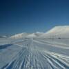 Some 10 miles north of Nome.
Along the Kougarok Road.