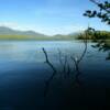 Engineer Lake in August.
Along the Skilak Road.