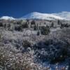 More September snowfall.
Alaska's Taylor Highway.
(south of Chicken, AK)