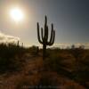 Pima County, AZ.
Tranquil April evening.