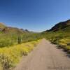 21-Mile Road.
Organ Pipe National Monument.