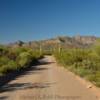 'Looking north'
21-Mile Road.
Organ Pipe Monument.