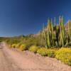 Organ Pipe Monument.
More splendid scenery.