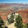 Some brave folks at the
Grand Canyon.