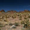 Warm Springs Mountains.
Western Arizona.